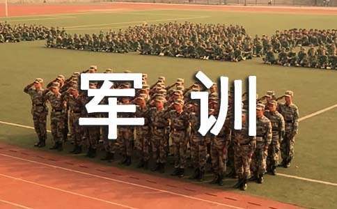 如何选择适合篮球康复训练的器材_1